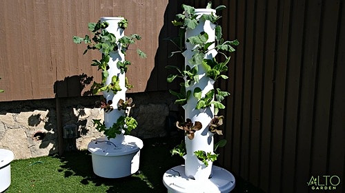 tower garden